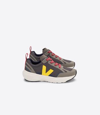 Kids Veja Canary Elastic Laces Alveomesh Grafite Tonic Vegan Gris | CLZPD98804